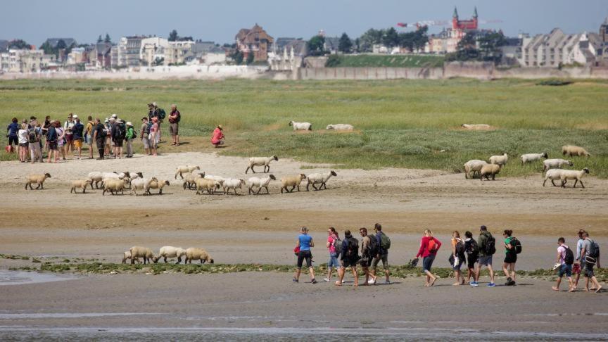 Les Arts - Cocon Romantique En Baie De Somme Boismont  外观 照片